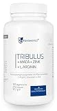 FürstenMED Arginin + Maca