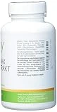 Roter Panax Ginseng - 4