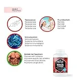 Maca Kapseln hochdosiert 4000 mg + L-Arginin 1800 mg + Vitamine + Zink, 240 Kapseln für 2 Monate, Qualitätsprodukt-Made-in-Germany jetzt zum Aktionspreis und 30 Tage kostenlose Rücknahme! 1er Pack (1 x 206,4 g) - 3